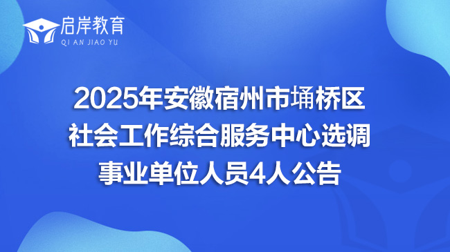 2025年安徽宿州市埇桥区社会工作综合服务中心选调事业单位人员4人公告