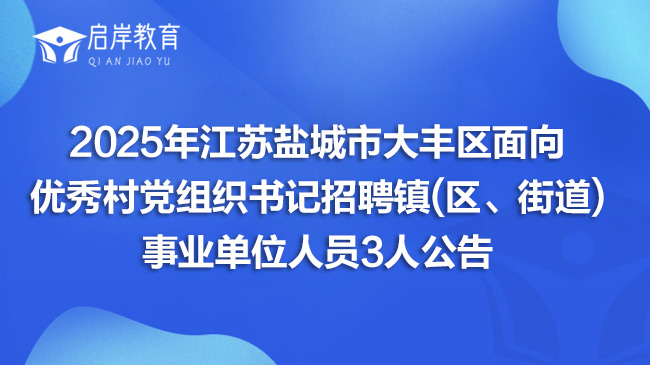 2025年江苏盐城市大丰区面向优秀村党组织书记招聘镇(区、街道)事业单位人员3人公告