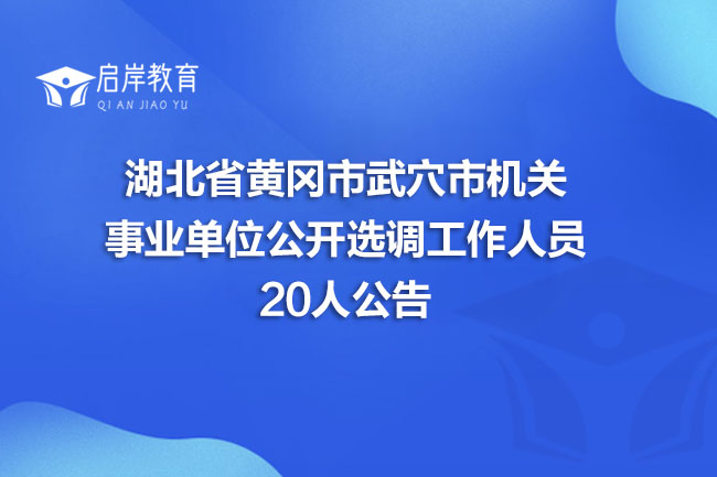 湖北省黄冈市武穴市机关事业单位公开选调工作人员20人公告(图1)